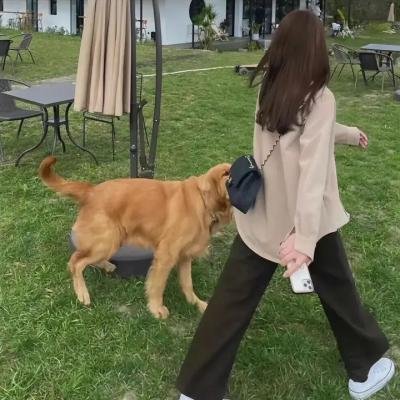 爱,死亡和机器人第三季